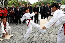 Taekwondo demonstration